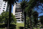LSI - Language Studies International, Auckland