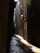 Study & Live in your Teacher's Home, Barcellona