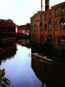 Study & Live in your Teacher's Home, Bristol