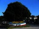Study & Live in your Teacher's Home, Isola di Wight