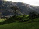 Study & Live in your Teacher's Home, Lake District