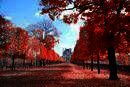 Study & Live in your Teacher's Home, Parigi