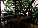 WAYRA Spanish School, Playa Tamarindo