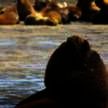 COINED, Puerto Madryn