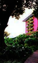 Study & Live in your Teacher's Home, San Jose