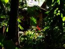 WAYRA Spanish School, Playa Tamarindo