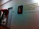 A.L.C.E. Accademia Lingue e Culture Europee, Bolonia