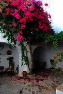 Colegio de Español La Janda, Vejer de la Frontera