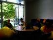 Language Schools New Zealand, Christchurch