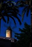 Palma Language School, Palma de Mallorca