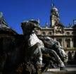 Study & Live in your Teacher's Home, Lyon