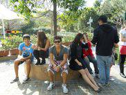LSI - Language Studies International, Brisbane