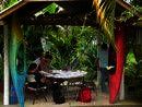 Spanish by the River, Turrialba