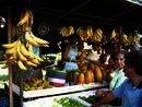 Spanish by the River, Turrialba