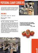  Idioma + Deportes y/o Actividades (PDF)