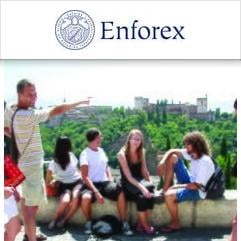 enforex language school granada