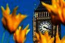 LSI - Language Studies International - Central, London