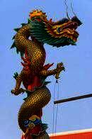 Study & Live in your Teacher's Home, Beijing