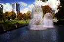 Study & Live in your Teacher's Home, Christchurch