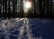 Study & Live in your Teacher's Home, Moscow