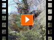 WAYRA Spanish School - (Video) WAYRA Spanish School - (Video)