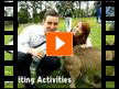 LSI - Language Studies International -  (Video)