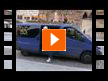 Enforex -  (Video)