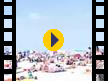 Enforex -  (Video)