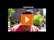 inlingua Victoria College of Languages - Student Interviews (Video) inlingua Victoria College of Languages - Student Interviews (Video)