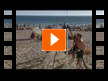 clic International House Cádiz - 都市 (Video) clic International House Cádiz - 都市 (Video)