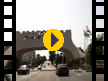 Enforex -  (Video)