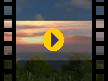 Patong Language School Video Patong Language School Video