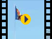 Enforex Valencia -  (Video)