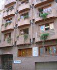 Enforex, Granada