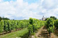 Study & Live in your Teacher's Home, Bordeaux