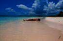 International House - Riviera Maya, Playa del Carmen