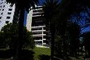 LSI - Language Studies International, Auckland
