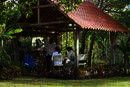 Spanish by the River, Boquete