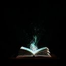 Study & Live in your Teacher's Home, Орландо