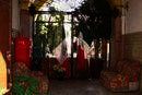 OLE, Queretaro