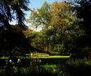 CIE - College of International Education, Oxford