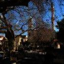 Lexis - Centre of Greek Language & Culture, Chania (Kreta)