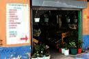 Spanish by the River, Boquete