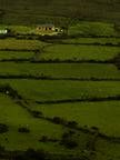 Study & Live in your Teacher's Home, Galway