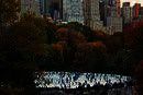 Study & Live in your Teacher's Home, New York