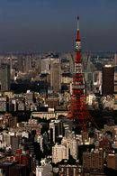 Study & Live in your Teacher's Home, Tokio