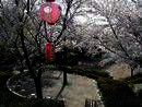 Study & Live in your Teacher's Home, Tokio