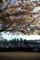 Study & Live in your Teacher's Home, Vancouver