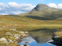 Norge