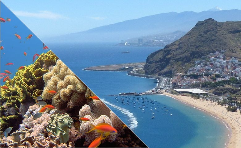 Tenerife - Spanyol & búvárkodás